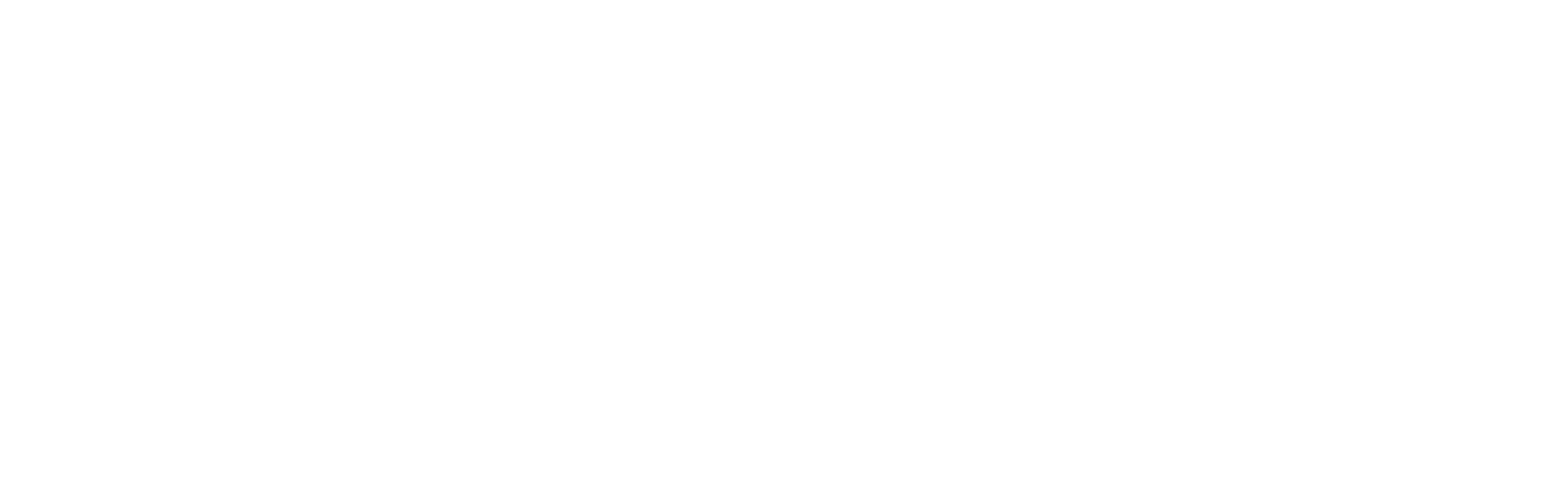 Strike-Logo-Horiz-White-TM